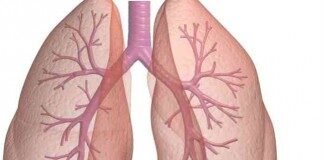 lungs-324x160-7195748